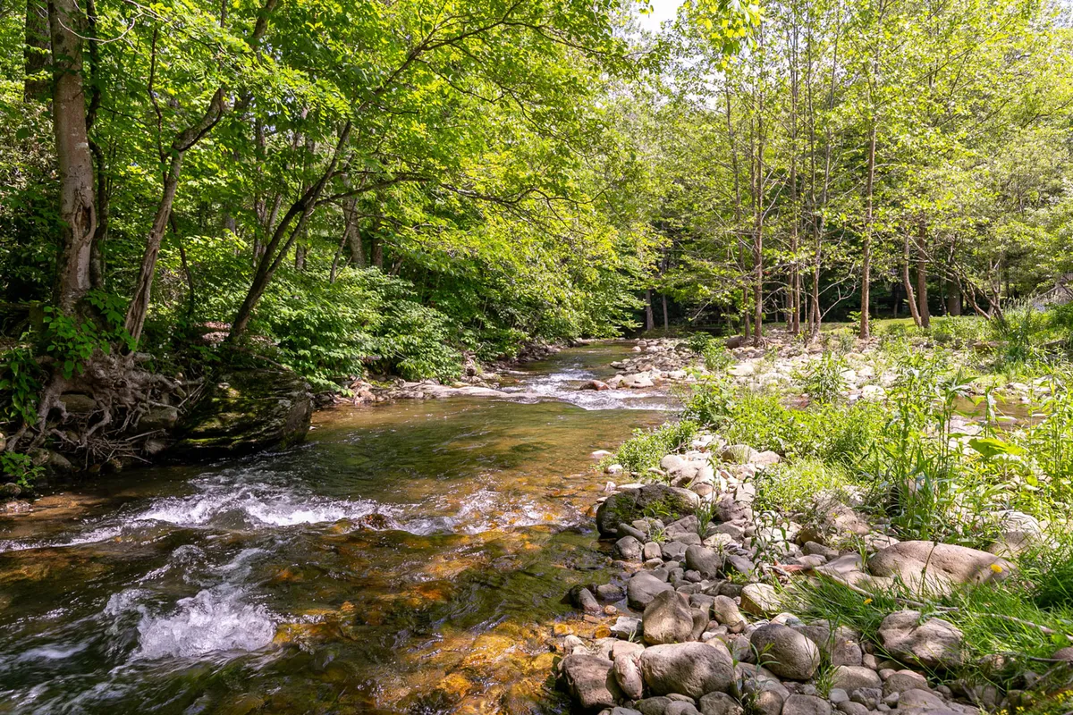 A scenic view of the flowing river, framed by lush greenery and smooth stones, creating a peaceful setting ideal for fishing, picnicking, or nature walks.